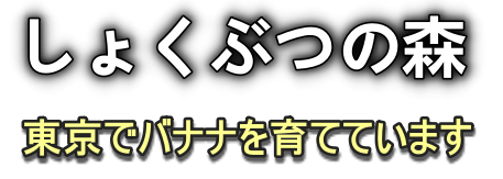 しょくぶつの森